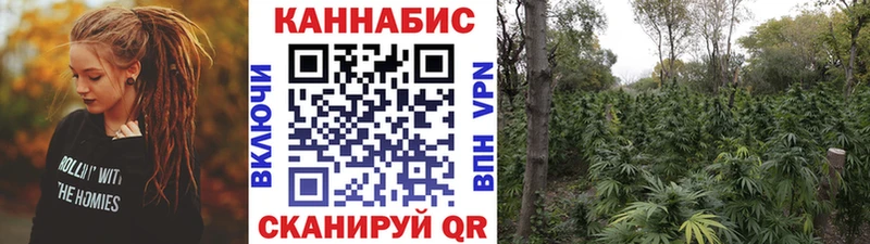 Наркотические вещества Гаврилов-Ям ГАШИШ  СОЛЬ  Меф  Марихуана 