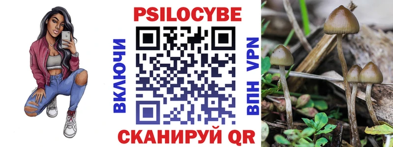 Галлюциногенные грибы Cubensis  купить наркоту  мориарти телеграм  Гаврилов-Ям  MEGA ONION 